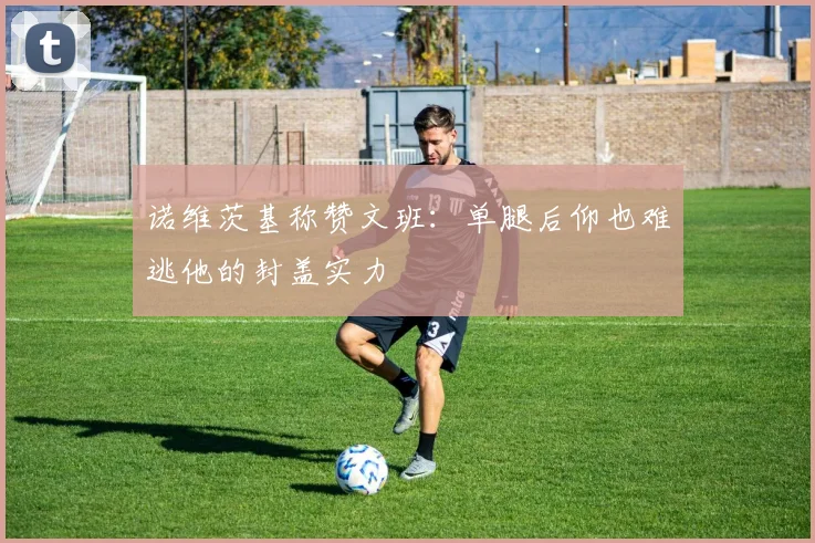 诺维茨基称赞文班：单腿后仰也难逃他的封盖实力