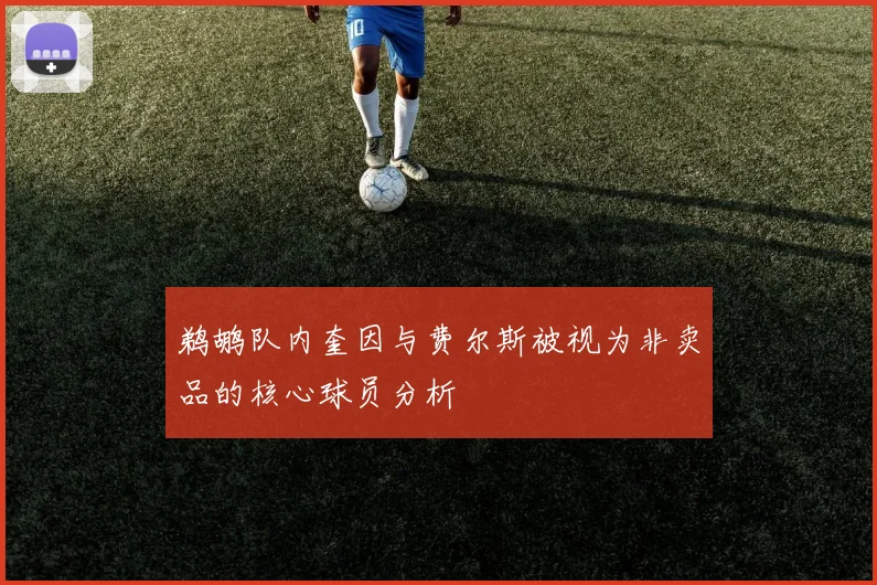 鹈鹕队内奎因与费尔斯被视为非卖品的核心球员分析
